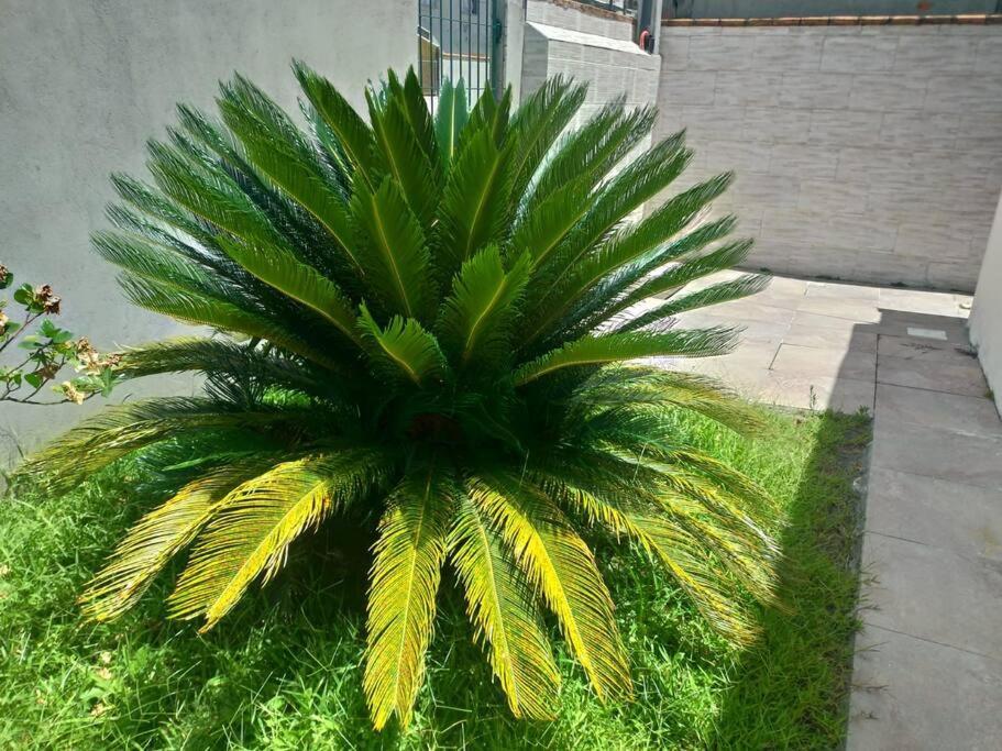 Вилла Casa Agradavel Em Camboriu Com Estacionamento No Patio Экстерьер фото